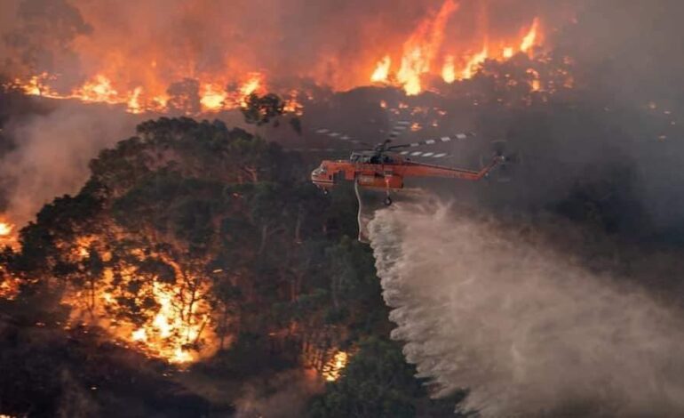 Kebakaran Hutan di Australia 2020: Dampak, Respons, dan Pelajaran