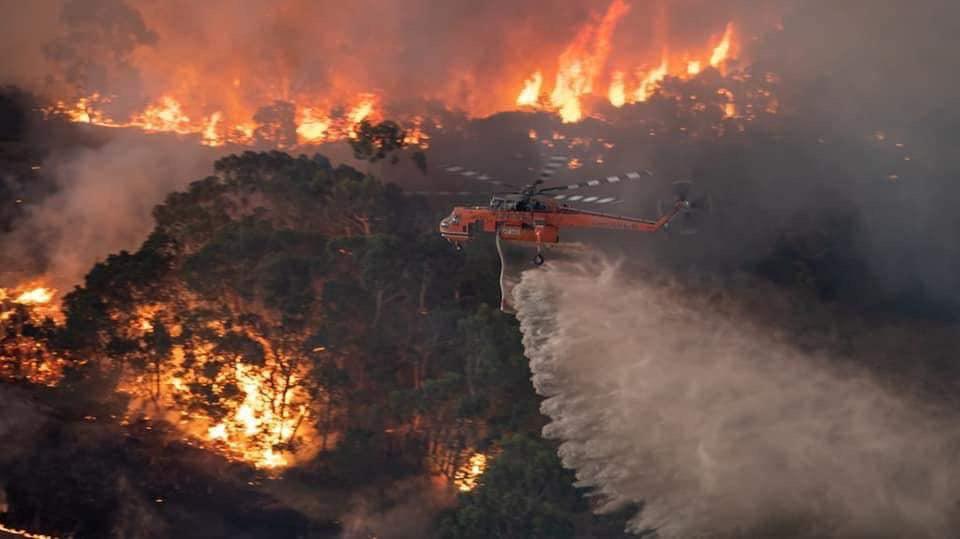 Kebakaran Hutan di Australia 2020: Dampak, Respons, dan Pelajaran