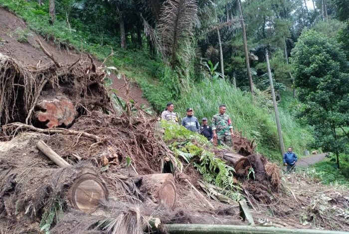 Tanah Longsor Bahorok 2003Tragedi Alam di Sumatera Utara