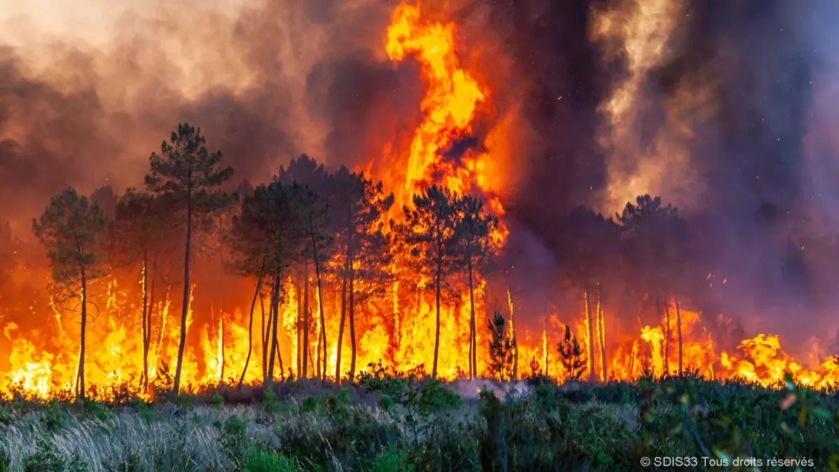 Kebakaran Hutan California: Fenomena Alam yang Meningkat