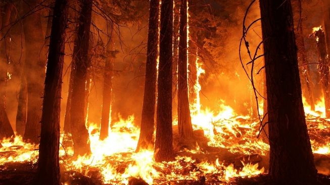 Mengenang Dahsyatnya Kebakaran Oregon 2020